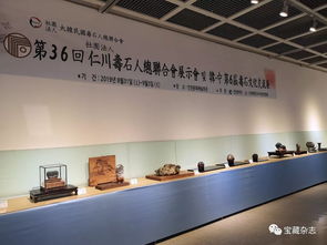 以石為媒，跨越山海 青島民間賞石藝術開啟跨國交流新篇章